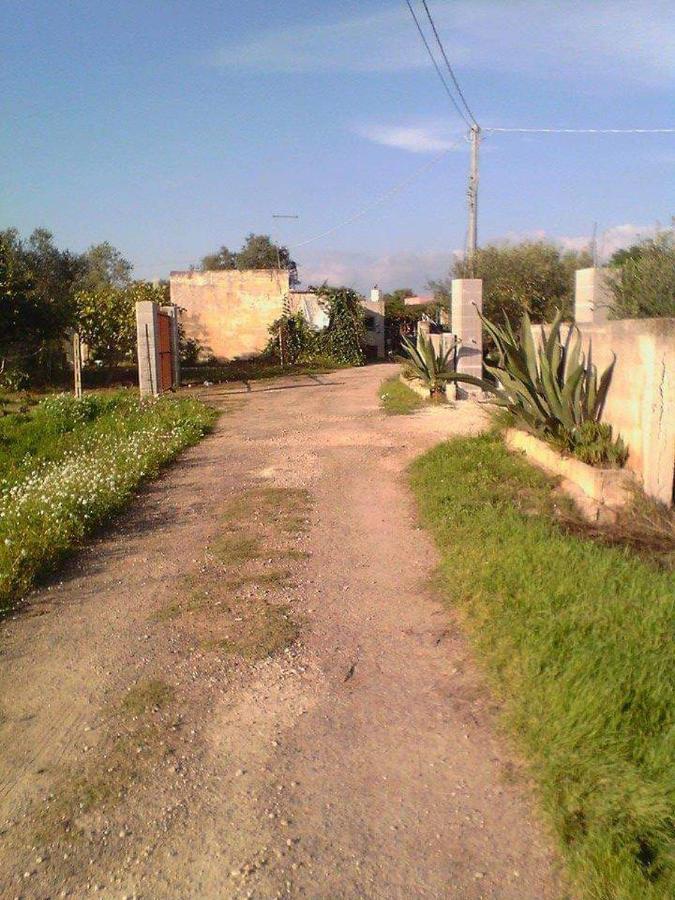 La Casa In Campagna Di Ottavia Alezio Exteriör bild