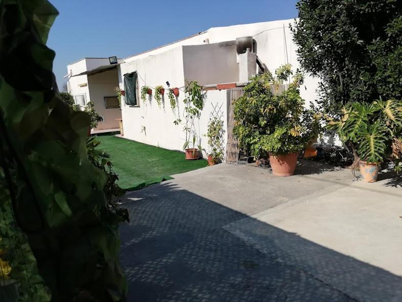 La Casa In Campagna Di Ottavia Alezio Exteriör bild